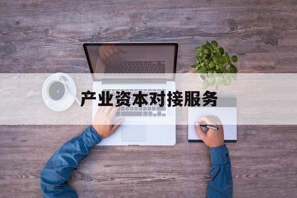 产业资本对接服务(产业资本对接服务包括哪些)阿克苏市